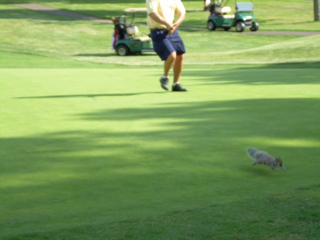 2007 Golf Tournament